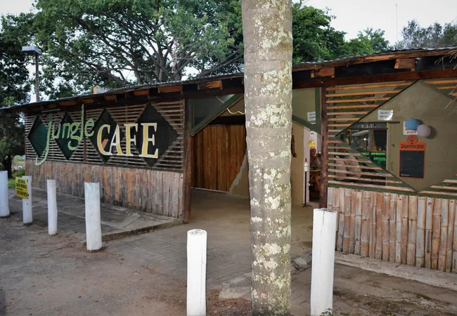 hazyview-adventure-backpackers-numbi-park-hazyview-kz88k