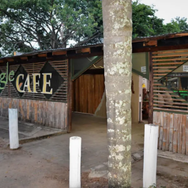 hazyview-adventure-backpackers-numbi-park-hazyview-kz88k