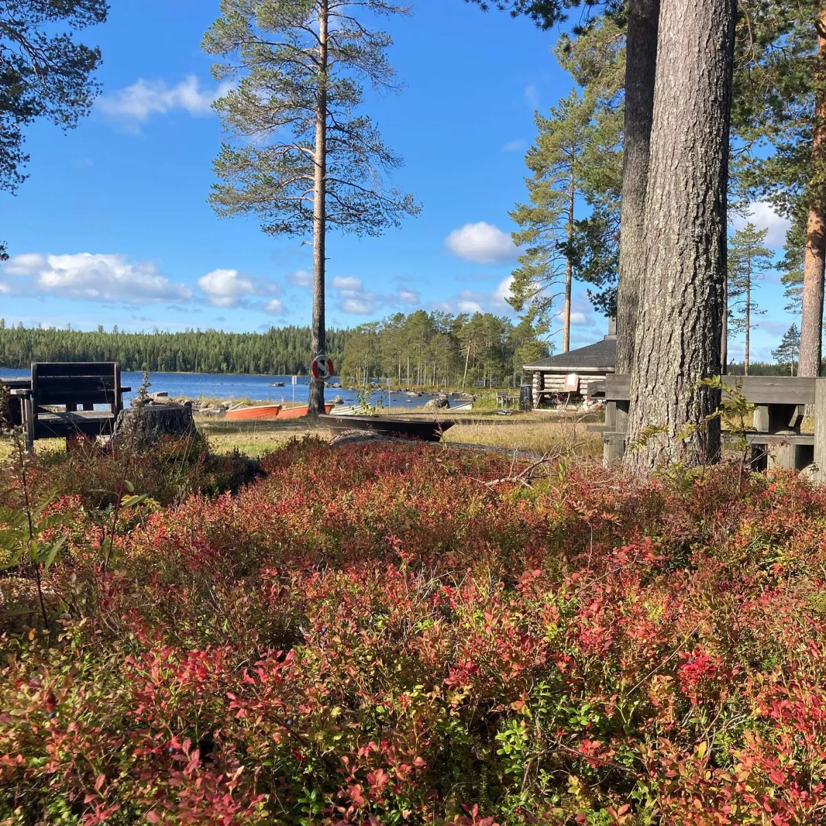 vildmarkscamp-stora-stentrask-niemisel-3m7ks