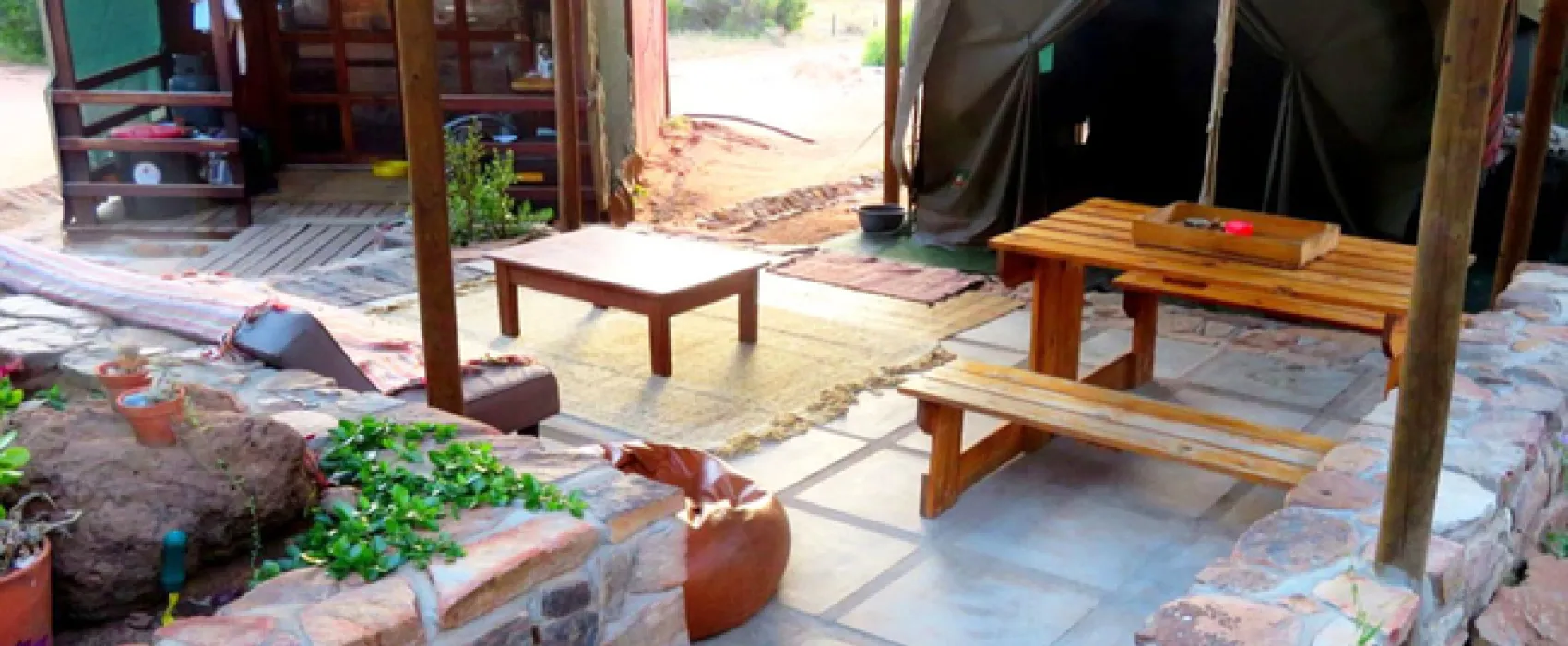 Tortoise Terrace
