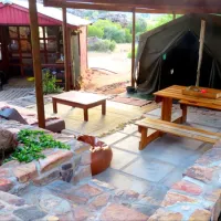 Tortoise Terrace