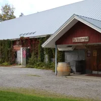 alahovin-viinitila-kortejoki-wiccw