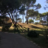 yelloh-village-avignon-parc-vedene-bqmm1