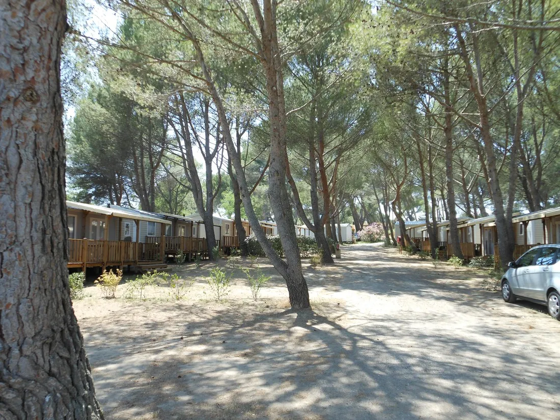 yelloh-village-avignon-parc-vedene-pypfz