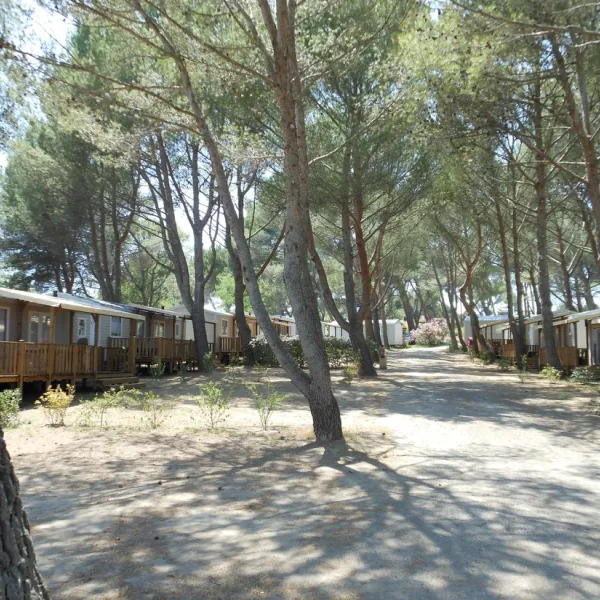 yelloh-village-avignon-parc-vedene-pypfz