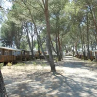 yelloh-village-avignon-parc-vedene-pypfz