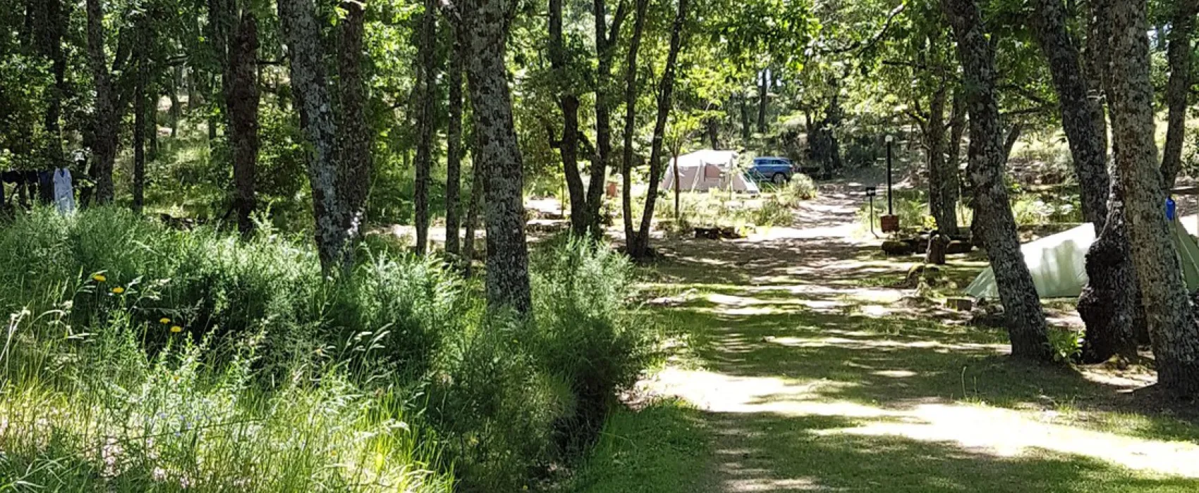 El Burro Blanco