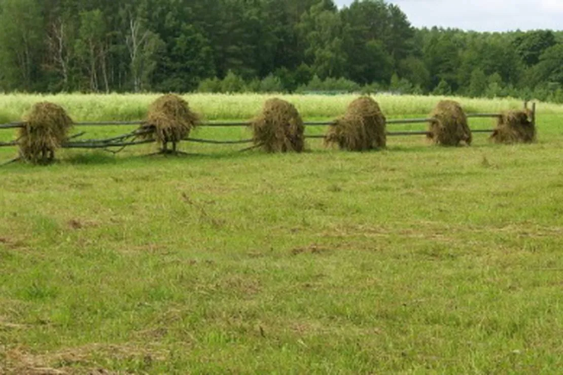 camping-memorial-ethnographic-complex-zabrodje-the-village-zabrodje-klutm
