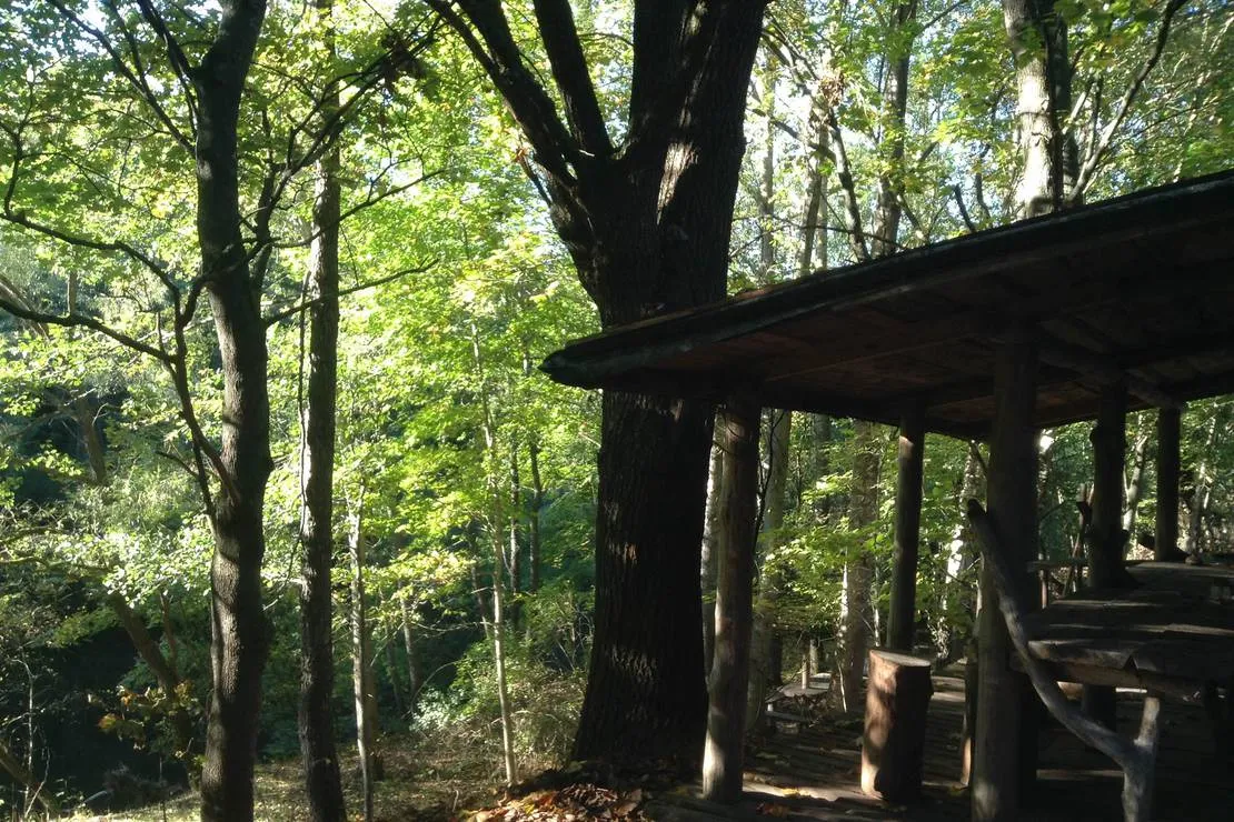 camping-memorial-ethnographic-complex-zabrodje-the-village-zabrodje-qv3yj