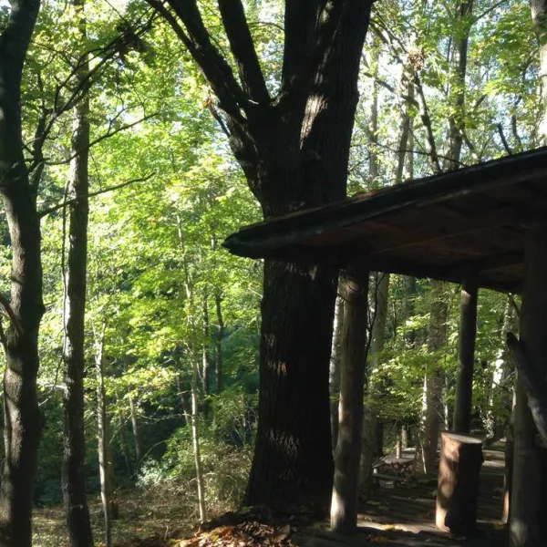 camping-memorial-ethnographic-complex-zabrodje-the-village-zabrodje-qv3yj