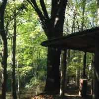 camping-memorial-ethnographic-complex-zabrodje-the-village-zabrodje-qv3yj