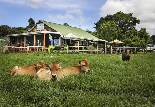 natures-way-natures-way-farm-stall-plettenberg-bay-dkfie