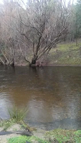 anglers-rest-campground-anglers-rest-xhy9k