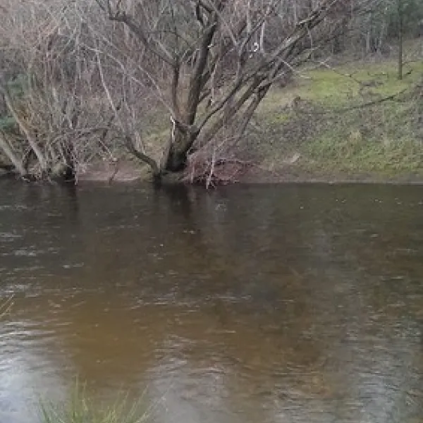 anglers-rest-campground-anglers-rest-xhy9k
