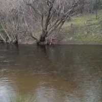 anglers-rest-campground-anglers-rest-xhy9k