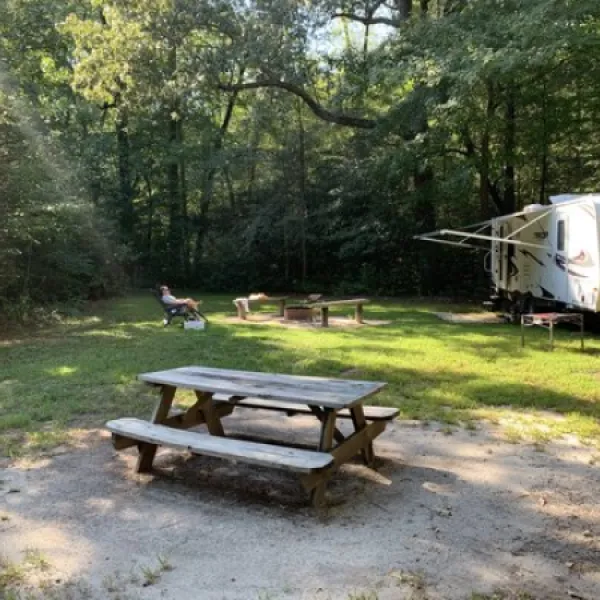 redden-state-forest-georgetown-modoj