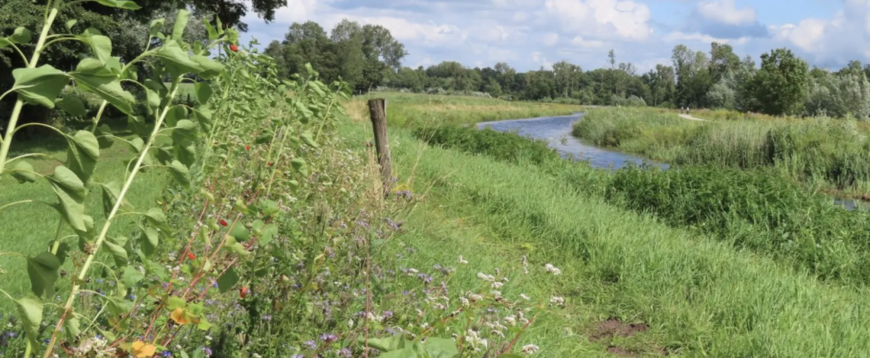 Camping en Theehuis Het Hazenpad