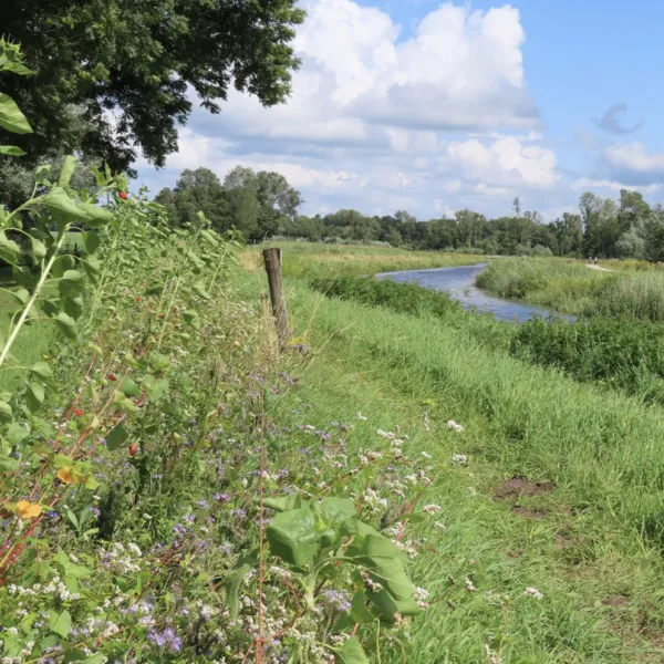 Camping en Theehuis Het Hazenpad