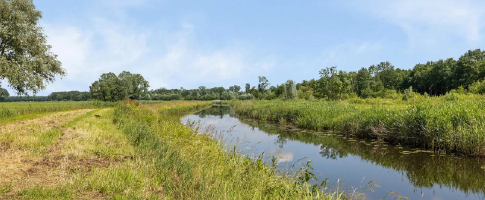 Camping en Theehuis Het Hazenpad