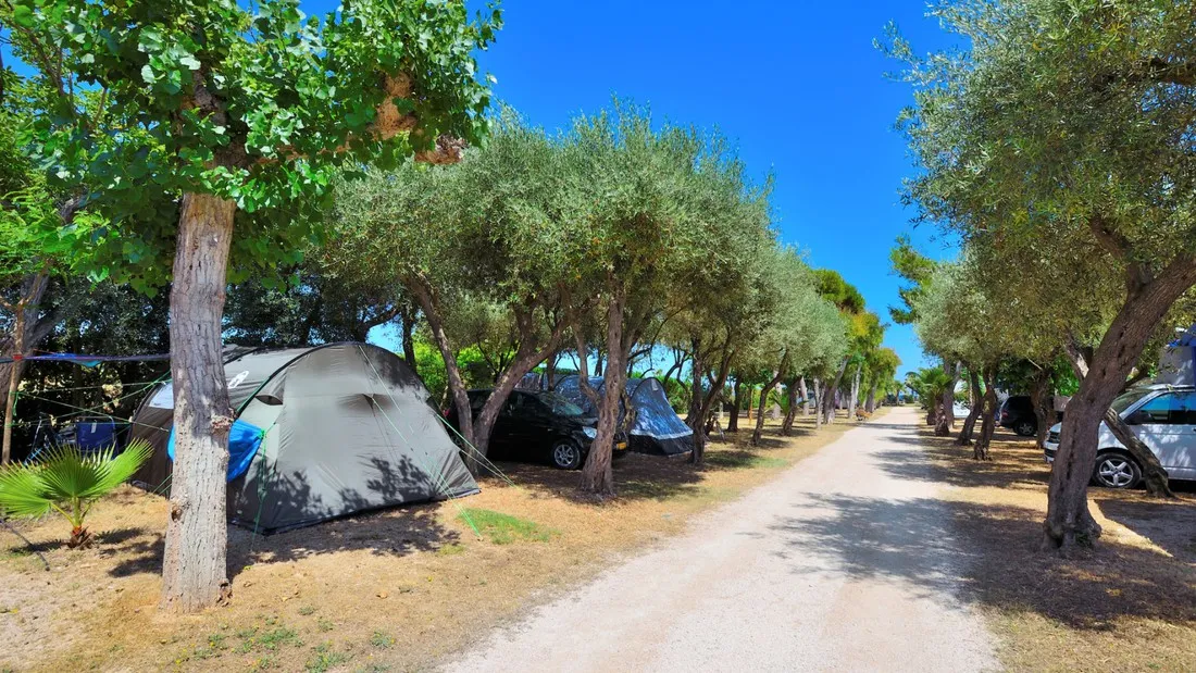 estanyet-alcanar-onpnu