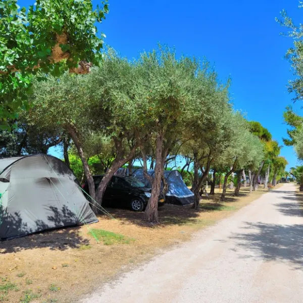 estanyet-alcanar-onpnu
