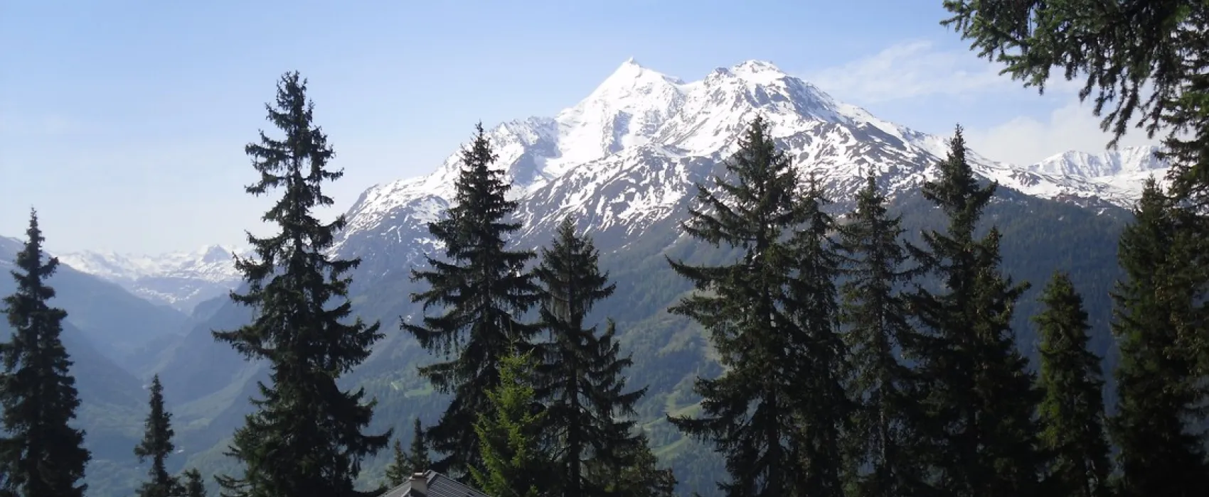 La Foret