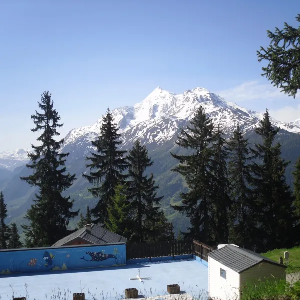 la-foret-la-rosiere-montvalezan-jirrq