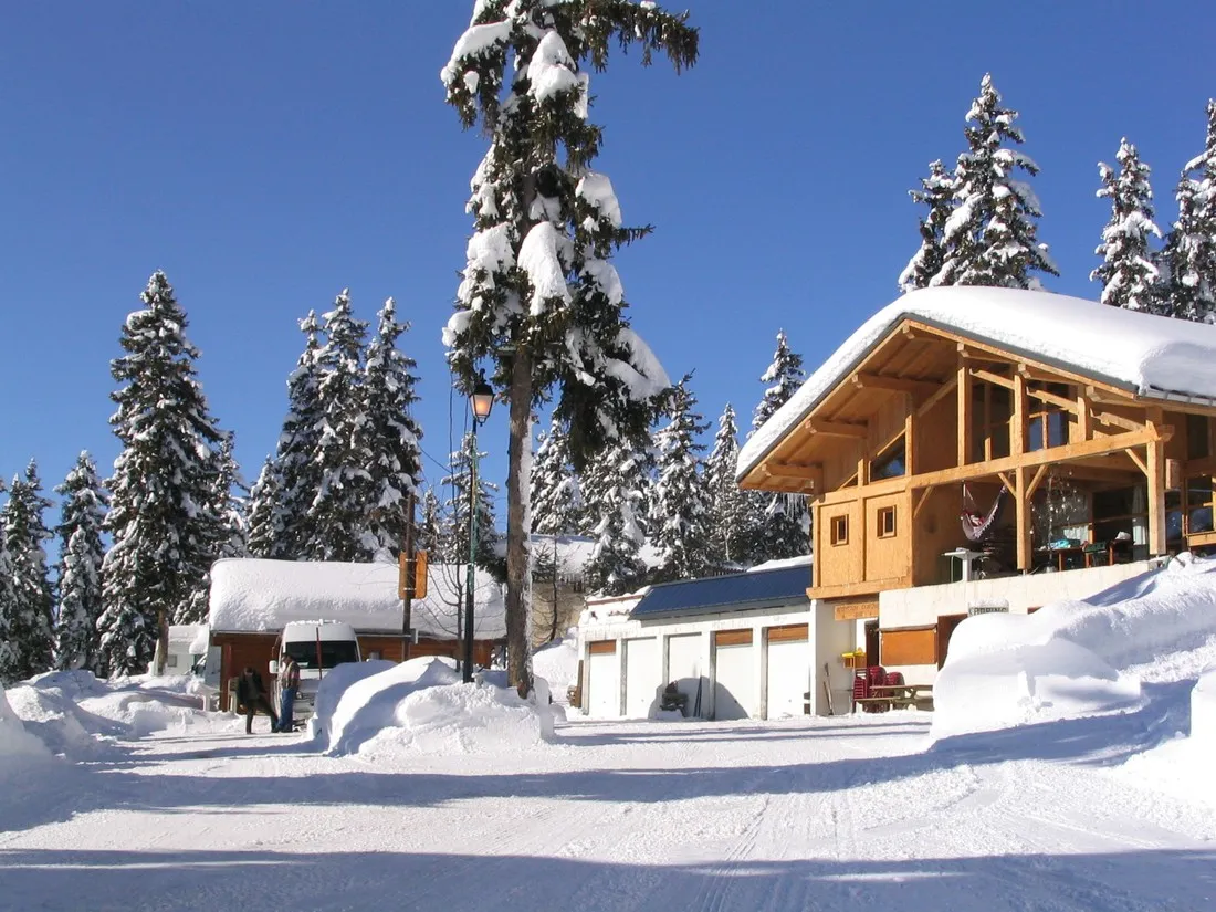 la-foret-la-rosiere-montvalezan-s3ilx