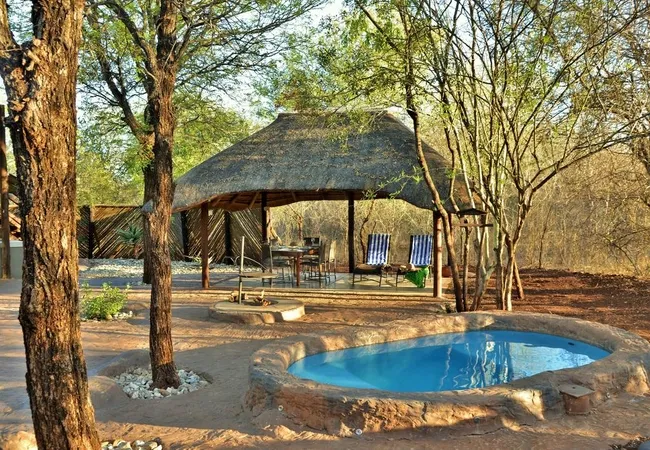 jackalberry-ridge-marloth-park-6h1ya