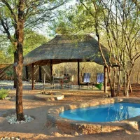 jackalberry-ridge-marloth-park-6h1ya