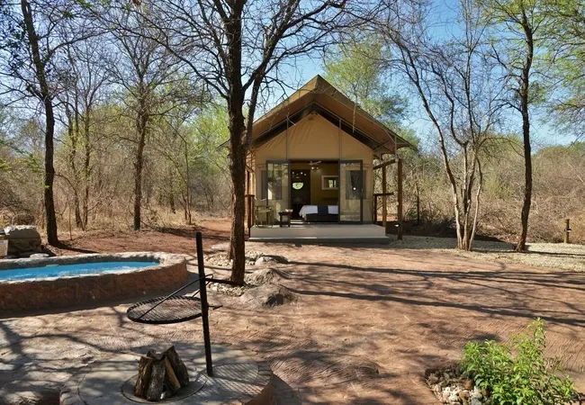 jackalberry-ridge-marloth-park-ceihl