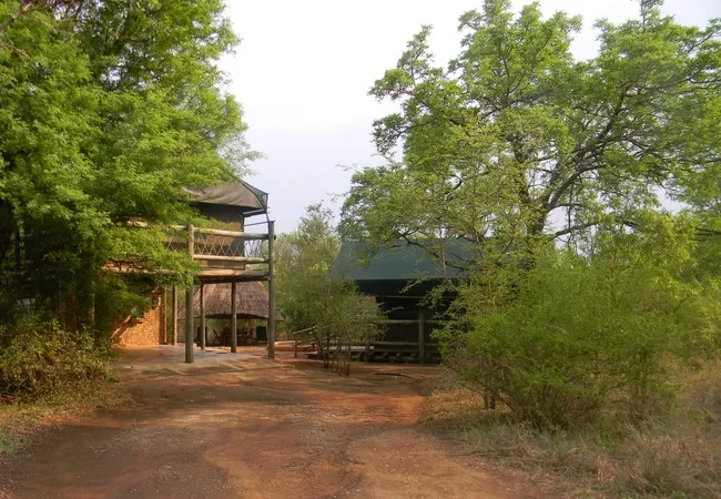 jackalberry-ridge-marloth-park-e5tfl
