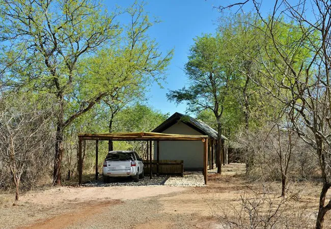 jackalberry-ridge-marloth-park-ovix0