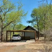 jackalberry-ridge-marloth-park-ovix0