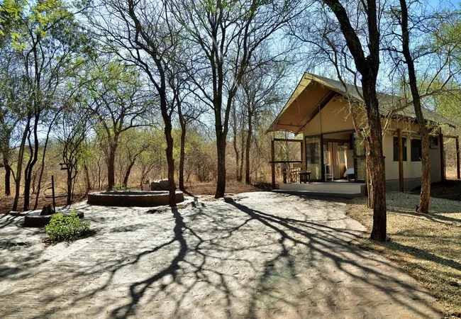jackalberry-ridge-marloth-park-vafju