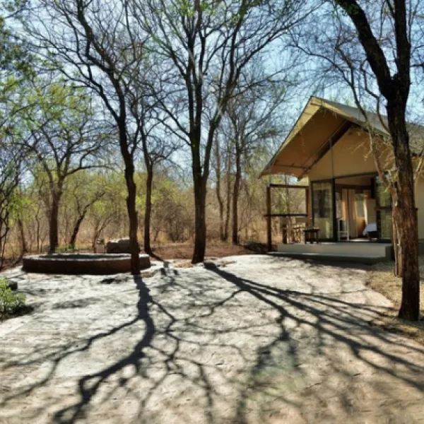 jackalberry-ridge-marloth-park-vafju