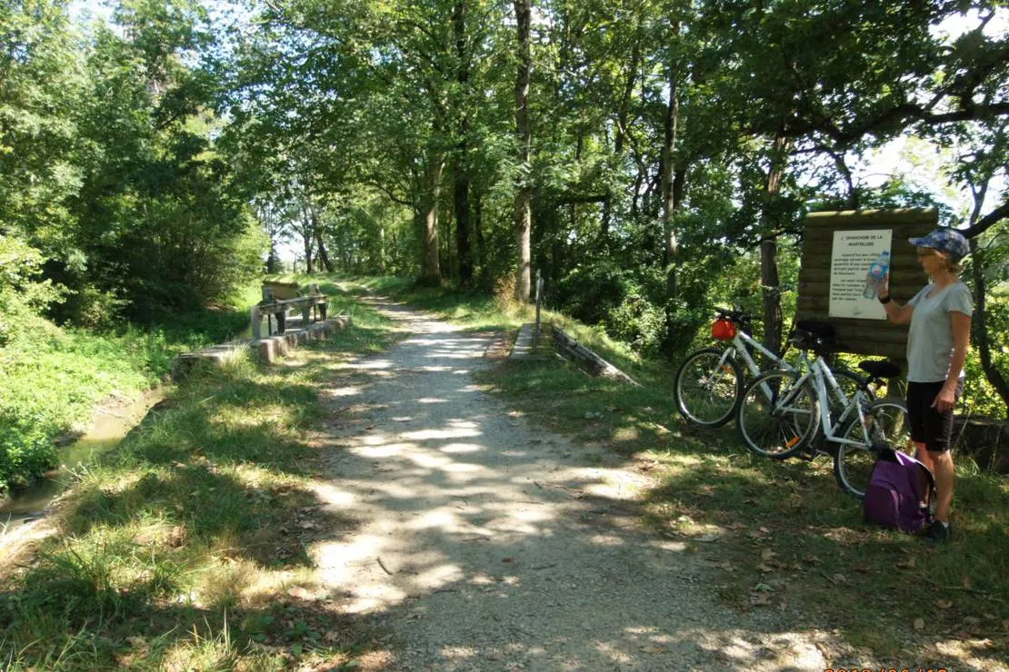camping-le-moulin-du-roy-revel-apelo
