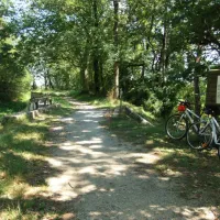 camping-le-moulin-du-roy-revel-apelo