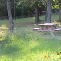 texan-rv-park-athens-cgykd