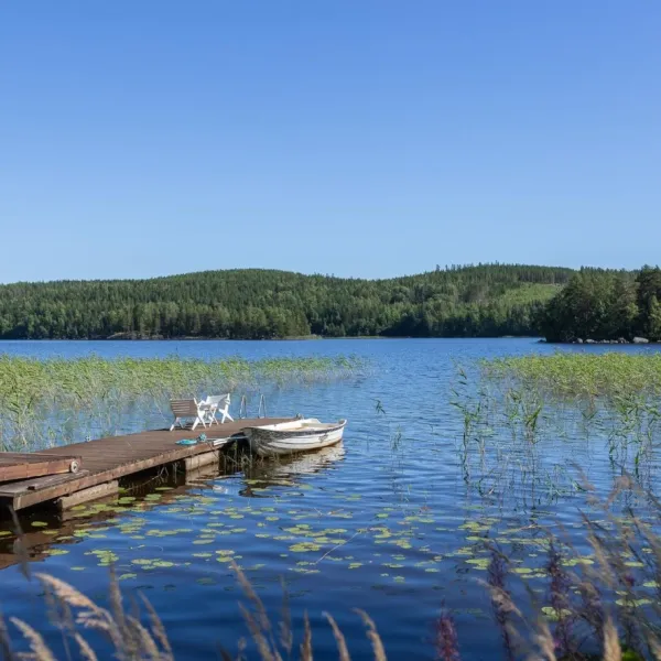 riihivuoren-lomakyla-muurame-awtj1