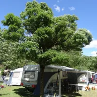 le-provencal-castellane-4xiqf