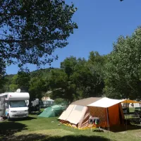 Le Provencal