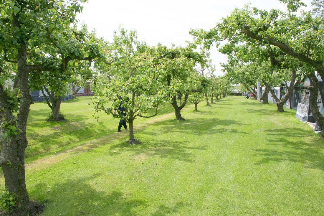 svr-camping-de-victorie-meerkerk-75ygy