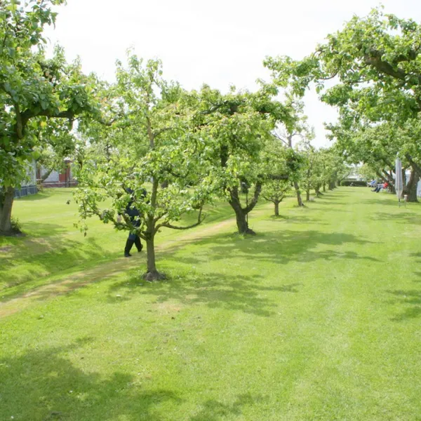 svr-camping-de-victorie-meerkerk-75ygy