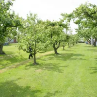 svr-camping-de-victorie-meerkerk-75ygy
