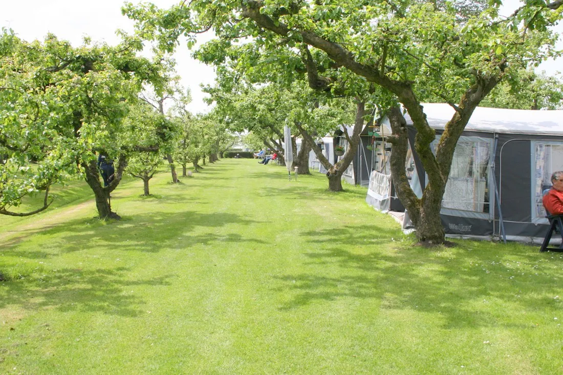 svr-camping-de-victorie-meerkerk-l4vzv