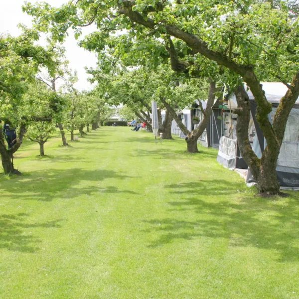svr-camping-de-victorie-meerkerk-l4vzv