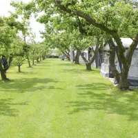 svr-camping-de-victorie-meerkerk-l4vzv