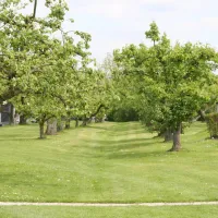 svr-camping-de-victorie-meerkerk-q8c4x