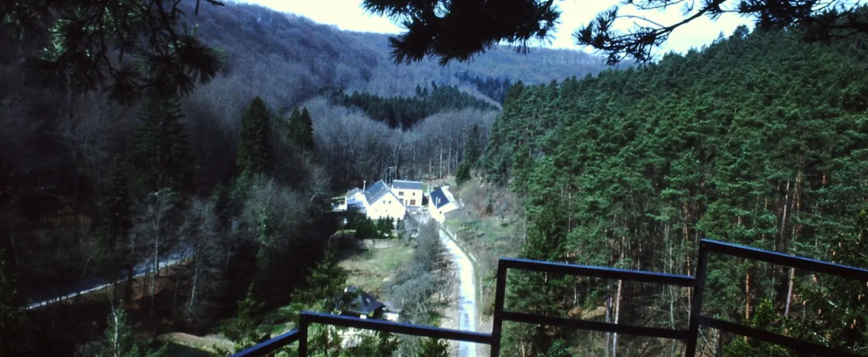 La Pinède